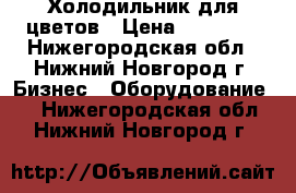 Холодильник для цветов › Цена ­ 19 000 - Нижегородская обл., Нижний Новгород г. Бизнес » Оборудование   . Нижегородская обл.,Нижний Новгород г.